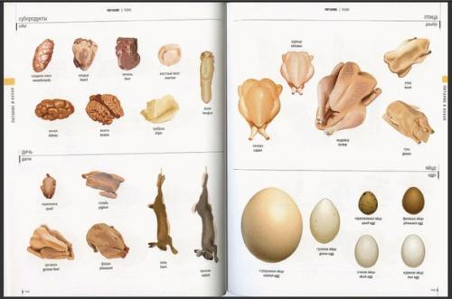 Отборные рецепты супчиков. 07