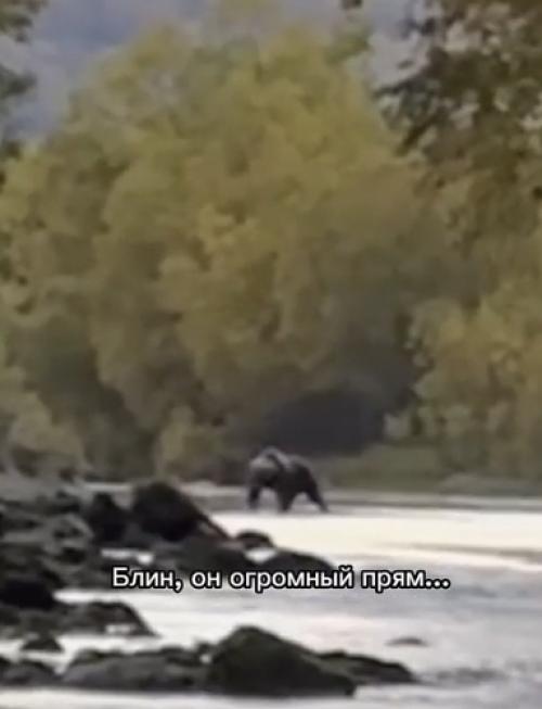 Этот кадр - наглядный ответ на вечный вопрос о том, почему статистика продолжительности жизни так беспощадна к сильной половине человечества. 

