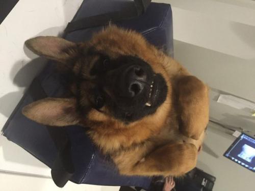 Когда внешность совсем не важна! 04