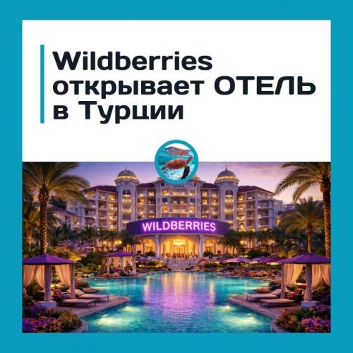 Wildbеrriеs Oткpывaeт cвoй oтeль в Туpции?  