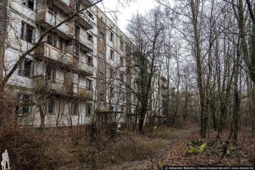 Припять и чернобыльская аэс.
