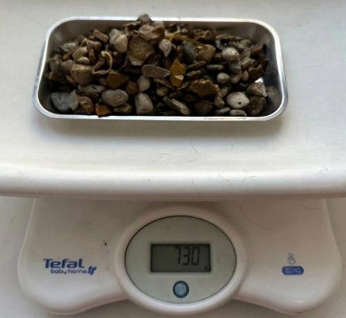 В Москве произошёл необычный случай: корги съел почти килограмм щебня, который имел аромат шашлыка. 02