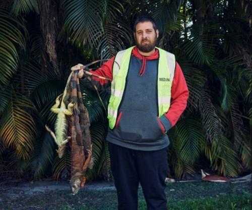 31 января 2026 года во флориде произошло то, что местные жители назвали Дождем из Игуан. 06