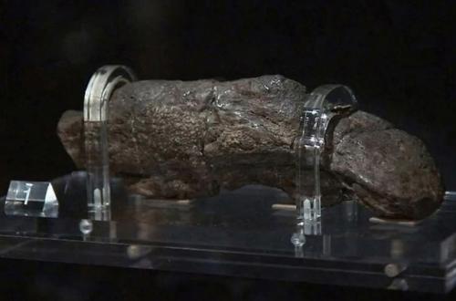 В 1972 году в Йорке был обнаружен уникальный исторический артефакт - крупнейший образец человеческих экскрементов, вероятно, оставленный викингом. 02