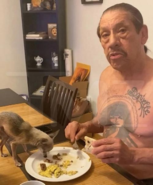 Актёр Дэнни трехо признали самым неприятным актёром на всю индустрию кино. 02 Актёр Дэнни трехо признали самым неприятным актёром на всю индустрию кино. 02