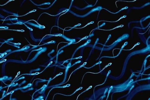 Перед вами - 25 необычных и странных фактов про секс, которые вы, возможно, до сих пор не знали. 

