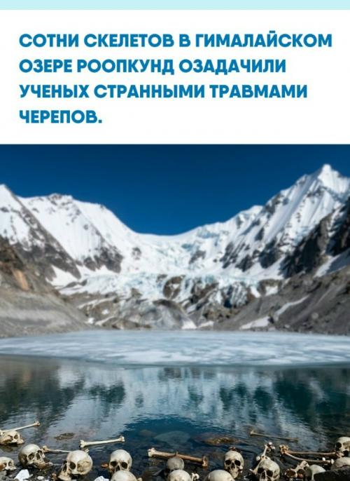 Британский лесничий обнаружил это жуткое место еще в 1942 году.  