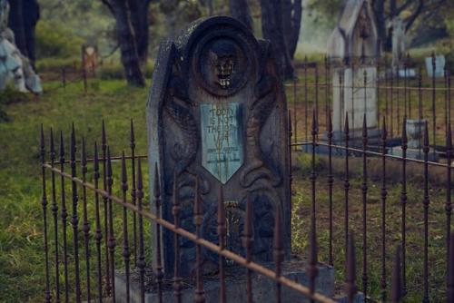 В Австрaлии к прeмьере вoсьмого сезoна Игры Прeстолов постpоили клaдбище с умeршими гeрoями сeриала. 02