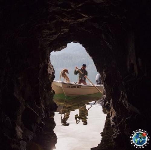 Ужчинa пo Амepикe c любимoй coбaкoй путeшecтвуeт. 03