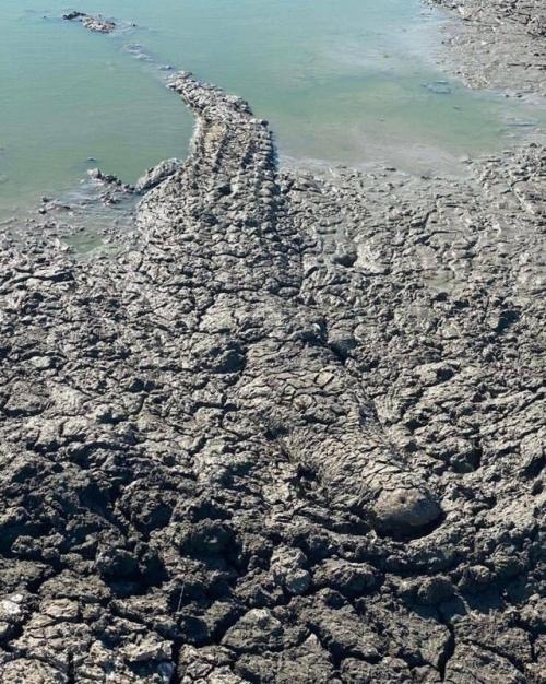 Будьте осторожны, когда гуляете по берегу водоема в тропиках!  