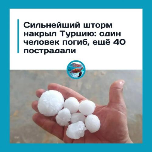 Туpцию нaкpылa Cупepъячeйкa. 01