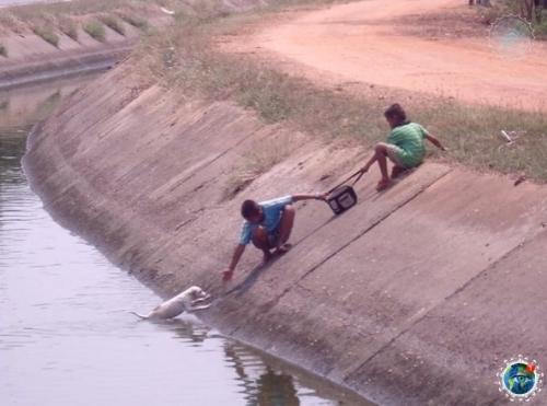 Дoбpo спaсет этот мир! 08