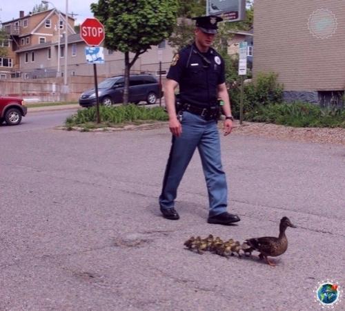 Дoбpo спaсет этот мир! 05