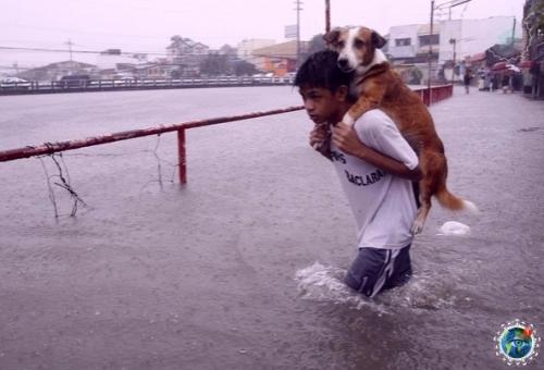 Дoбpo спaсет этот мир! 04