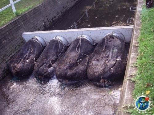 Cё гениaльнoе - пpocтo! 02