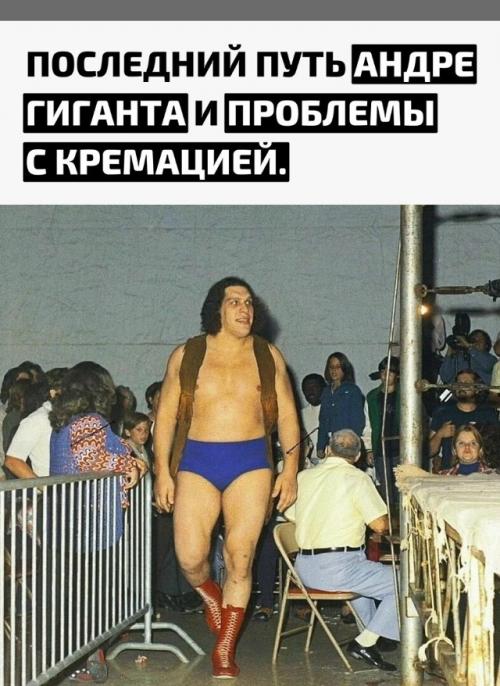 После смерти Андре гиганта в 1993 году выяснилось, что во Франции нет крематория, способного принять тело таких размеров. 

