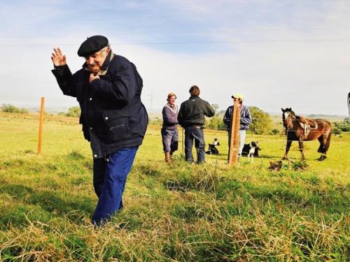 Хосе Альберто мухика кордано - президент Уругвая, и его стиль жизни мало похож на то, как обычно живут сильные мира сего. 06