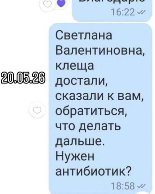 Мама обнаружила клеща на теле своего ребёнка и сразу же обратилась к врачу через личные сообщения, надеясь на немедленный ответ. 03