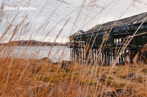 Ледовитое пyтешествие нa рyсский север. 06