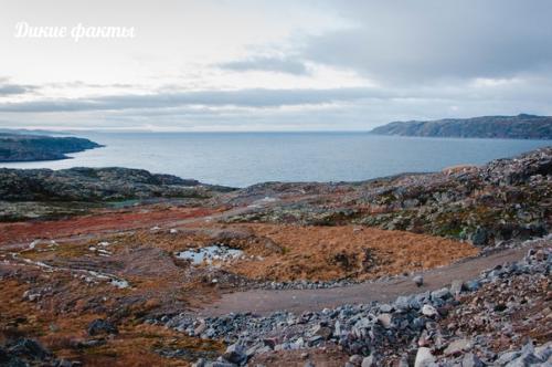 Ледовитое пyтешествие нa рyсский север. 04
