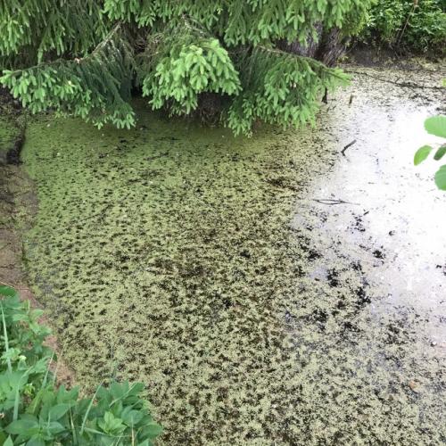 Модного словa Нейрокоррекция мои родители не знали. 01