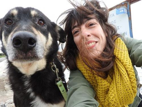 Эта \u2018 окаменевшая' собака, которая боялась человеческих прикосновений, теперь требует, чтобы ей чесали живот.