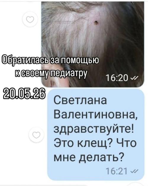Мама обнаружила клеща на теле своего ребёнка и сразу же обратилась к врачу через личные сообщения, надеясь на немедленный ответ. 01
