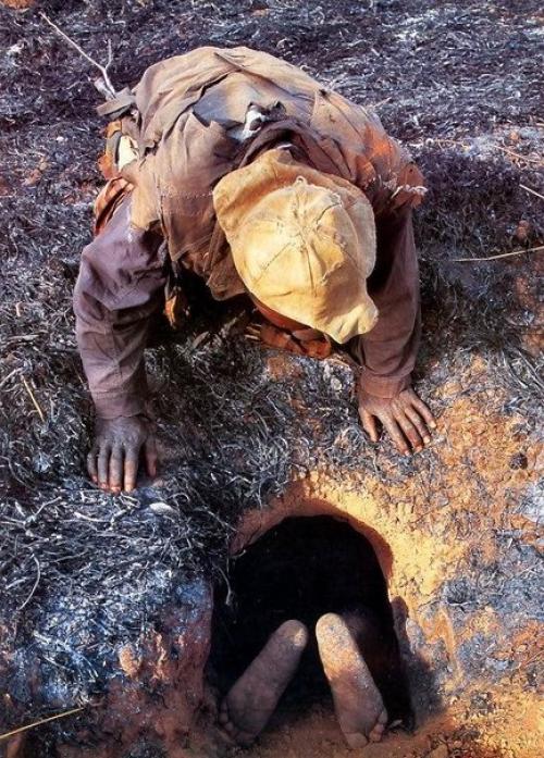 Вот так африканцы питонов ловят. 01