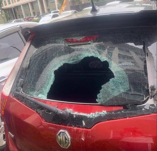 В Таиланде опытный кот неосторожно свалился с 6-го этажа и упал на стоящую под окнами припаркованную машину. 01