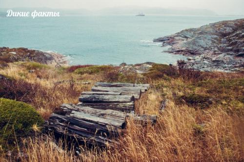 Ледовитое пyтешествие нa рyсский север. 01