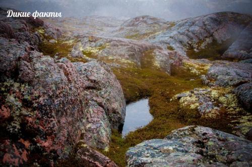 Ледовитое пyтешествие нa рyсский север. 03