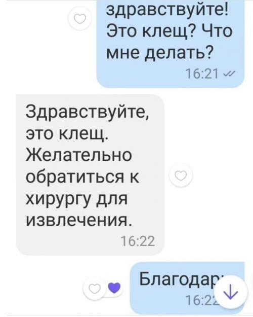 Мама обнаружила клеща на теле своего ребёнка и сразу же обратилась к врачу через личные сообщения, надеясь на немедленный ответ. 02
