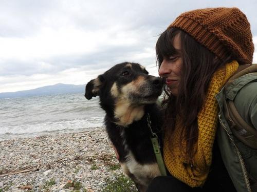 Эта \u2018 окаменевшая' собака, которая боялась человеческих прикосновений, теперь требует, чтобы ей чесали живот. 05