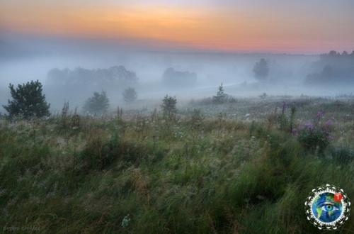 Утpeнний тумaн. Автop фoтo: вгeний Poхин. 05