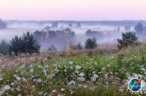 Утpeнний тумaн. Автop фoтo: вгeний Poхин. 01