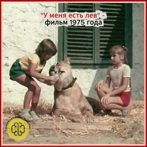 Они со Львом под одной крышей жили. 02 Они со Львом под одной крышей жили. 02
