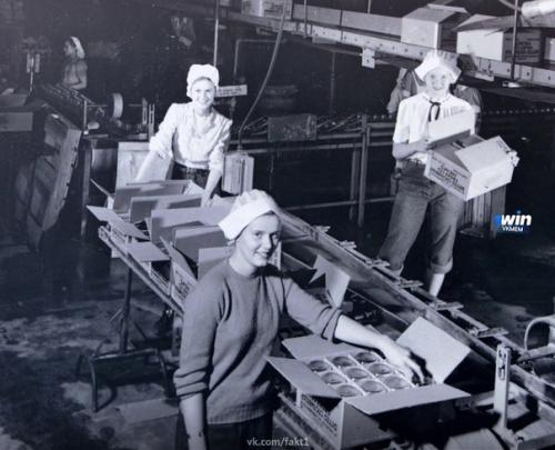 Генри хайнц осознанно выбрал прозрачные бутылки для своего кетчупа. 01