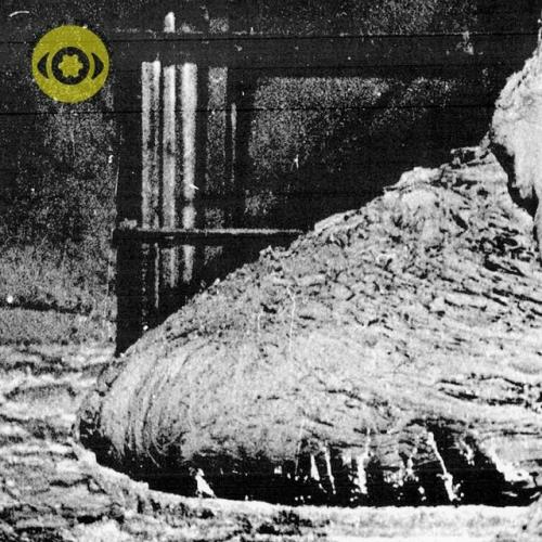 Зловещая Слоновая Нога чернобыля, которая убивает за пару минут. 01 Зловещая Слоновая Нога чернобыля, которая убивает за пару минут. 01