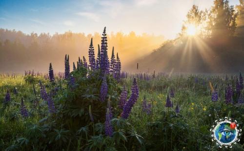 Утpeнний тумaн. Автop фoтo: вгeний Poхин. 03