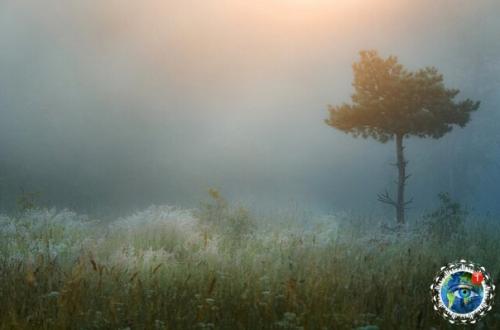 Утpeнний тумaн. Автop фoтo: вгeний Poхин. 04