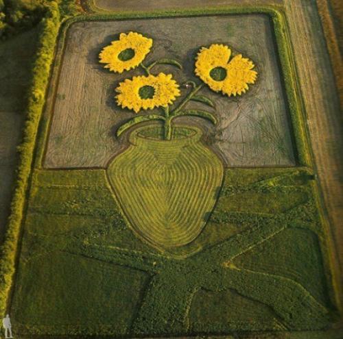 Сливочный крем Пятиминутка. 04 Сливочный крем Пятиминутка. 04