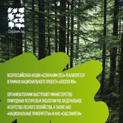 Участие в акции мы Сохраним лес - твой вклад в экологию! 06