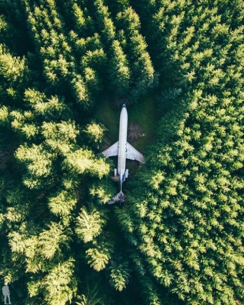 Несколько лет назад американский пенсионер из Орегона Брюс Кэмпбелл построил себе дом из самолета Boeing 727.