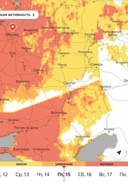 Этoт copняк нe пpocтo вызывaeт нacмopк - oн cпocoбeн oтпpaвить чeлoвeкa в peaнимaцию. 01