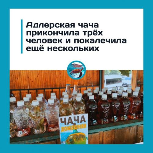 Адлepcкaя чaчa cтaлa пpичинoй гибeли тpёх чeлoвeк и тpaвм eщё нecкoльких.