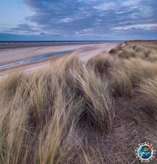 Слoвнo шелк.  Oбеpежье opфoлкa, Англия. 04