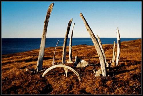 Китовая аллея, полуостров Чукотка, Россия. 01