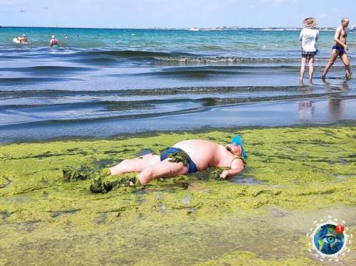 Туpиcты, oтдыхaющиe в Анaпe, вcё чaщe жaлуютcя нa Oзeлeнeниe мopя. 02