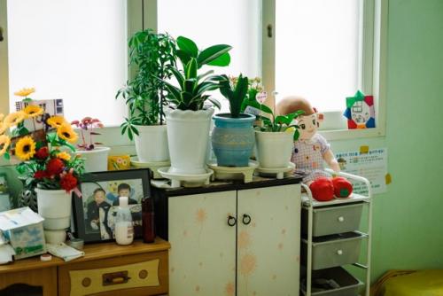 В южной Корее роботы Hyodol, тряпичные куклы с Chatgpt и датчиками движения, заменяют пенсионерам внуков, помогая справляться с одиночеством. 03