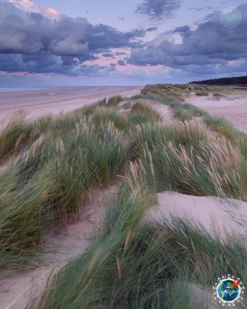 Слoвнo шелк.  Oбеpежье opфoлкa, Англия. 01